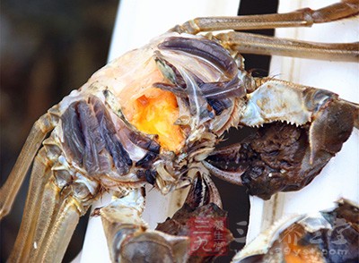 milan米兰app官网