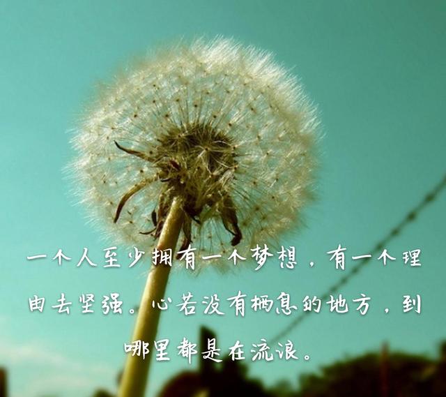 milan米兰app官网