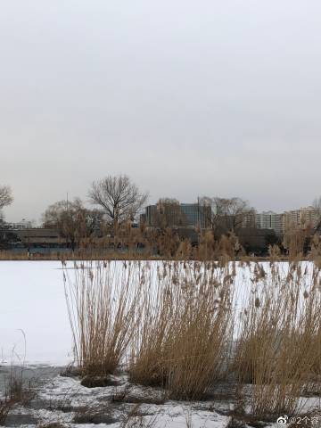 milan米兰app官网