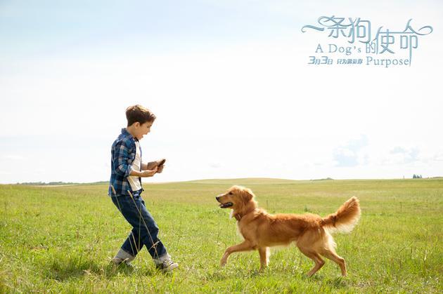 milan米兰app官网