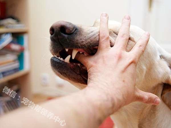 milan米兰app官网