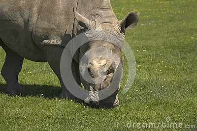 milan米兰app官网