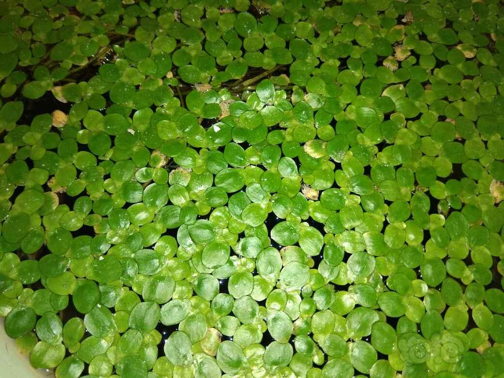 milan米兰app官网