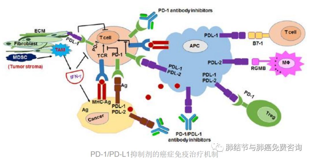 milan米兰app官网