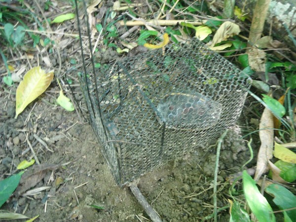 milan米兰app官网